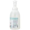 Ginger Lily Farms Botanicals All-Purpose Foaming Hand Soap Refill, 100% Vegan & Cruelty-Free, Vanilla Sugar Bliss Scent, 1 Gallon (128 fl oz)(Cucumber Mint Bliss)