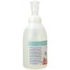 Ginger Lily Farms Botanicals All-Purpose Foaming Hand Soap Refill, 100% Vegan & Cruelty-Free, Vanilla Sugar Bliss Scent, 1 Gallon (128 fl oz)(Cucumber Mint Bliss)