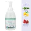 Ginger Lily Farms Botanicals All-Purpose Foaming Hand Soap Refill, 100% Vegan & Cruelty-Free, Vanilla Sugar Bliss Scent, 1 Gallon (128 fl oz)(Eucalyptus Tranquility)