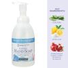Ginger Lily Farms Botanicals All-Purpose Foaming Hand Soap Refill, 100% Vegan & Cruelty-Free, Vanilla Sugar Bliss Scent, 1 Gallon (128 fl oz)(Island Tranquility)