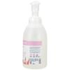 Ginger Lily Farms Botanicals All-Purpose Foaming Hand Soap Refill, 100% Vegan & Cruelty-Free, Vanilla Sugar Bliss Scent, 1 Gallon (128 fl oz)(Vanilla Sugar Bliss)