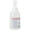 Ginger Lily Farms Botanicals All-Purpose Foaming Hand Soap Refill, 100% Vegan & Cruelty-Free, Vanilla Sugar Bliss Scent, 1 Gallon (128 fl oz)(Whispering Rose)