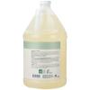 Ginger Lily Farms Botanicals Pure Castile Liquid Soap Refill, Fragrance-Free, 1 Gallon, All-Purpose Cleaner for Body, Face, Hair, Dishes, Laundry & Pets, Non-GMO, 100% Vegan & Cruelty-Free(Peppermint)