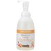 image:imageGinger Lily Farms Botanicals AllPurpose Foaming Hand Soap Refill 100 Vegan amp CrueltyFree Vanilla Sugar Bliss Scent 1 Gallon 128 fl ozCoco Mango
