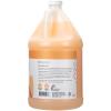 Ginger Lily Farms Botanicals 3-in-1 Shampoo, Conditioner & Body Wash, Island Tranquility, 100% Vegan & Cruelty-Free, Green Tea Lemongrass Scent, 1 Gallon (Pack of 4)(Coco Mango)