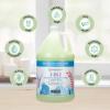 Ginger Lily Farms Botanicals 3-in-1 Shampoo, Conditioner & Body Wash, Island Tranquility, 100% Vegan & Cruelty-Free, Green Tea Lemongrass Scent, 1 Gallon (Pack of 4)(Island Tranquility)