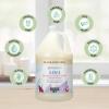 Ginger Lily Farms Botanicals 3-in-1 Shampoo, Conditioner & Body Wash, Island Tranquility, 100% Vegan & Cruelty-Free, Green Tea Lemongrass Scent, 1 Gallon (Pack of 4)(Fragrance Free)