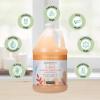 Ginger Lily Farms Botanicals 3-in-1 Shampoo, Conditioner & Body Wash, Island Tranquility, 100% Vegan & Cruelty-Free, Green Tea Lemongrass Scent, 1 Gallon (Pack of 4)(Coco Mango)