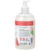 Ginger Lily Farms Botanicals All-Purpose Liquid Hand Soap, 100% Vegan & Cruelty-Free, Fragrance-Free, 12 fl oz (Pack of 6)(Apple Pear)