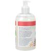 Ginger Lily Farms Botanicals All-Purpose Liquid Hand Soap, 100% Vegan & Cruelty-Free, Fragrance-Free, 12 fl oz (Pack of 6)(Apple Pear)