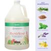 Ginger Lily Farms Botanicals All-Purpose Liquid Hand Soap, 100% Vegan & Cruelty-Free, Fragrance-Free, 12 fl oz (Pack of 6)(Basil)