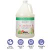 Ginger Lily Farms Botanicals All-Purpose Liquid Hand Soap, 100% Vegan & Cruelty-Free, Fragrance-Free, 12 fl oz (Pack of 6)(Basil)