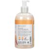 Ginger Lily Farms Botanicals All-Purpose Liquid Hand Soap, 100% Vegan & Cruelty-Free, Fragrance-Free, 12 fl oz (Pack of 6)(Coco Mango)