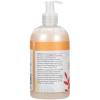 Ginger Lily Farms Botanicals All-Purpose Liquid Hand Soap, 100% Vegan & Cruelty-Free, Fragrance-Free, 12 fl oz (Pack of 6)(Coco Mango)