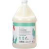 Ginger Lily Farms Botanicals All-Purpose Liquid Hand Soap, 100% Vegan & Cruelty-Free, Fragrance-Free, 12 fl oz (Pack of 6)(Eucalyptus Tranquility)