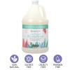 Ginger Lily Farms Botanicals All-Purpose Liquid Hand Soap, 100% Vegan & Cruelty-Free, Fragrance-Free, 12 fl oz (Pack of 6)(Eucalyptus Tranquility)