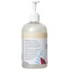 Ginger Lily Farms Botanicals All-Purpose Liquid Hand Soap, 100% Vegan & Cruelty-Free, Fragrance-Free, 12 fl oz (Pack of 6)(Fragrance Free)