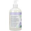 Ginger Lily Farms Botanicals All-Purpose Liquid Hand Soap, 100% Vegan & Cruelty-Free, Fragrance-Free, 12 fl oz (Pack of 6)(Lavender Chamomile)