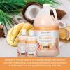 Ginger Lily Farms Botanicals Hospitality Kit, Island Tranquility, 9-Pc Set Includes Shampoo, Conditioner & Body Wash, 100% Vegan & Cruelty-Free, Green Tea Lemongrass Scent(Coco Mango)