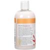 Ginger Lily Farms Botanicals Moisturizing Conditioner for Dry Hair, Island Tranquility, 100% Vegan & Cruelty-Free, Green Tea Lemongrass Scent, 1 Gallon Refill (Pack of 4)(Coco Mango)