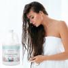 Ginger Lily Farms Botanicals Moisturizing Conditioner for Dry Hair, Island Tranquility, 100% Vegan & Cruelty-Free, Green Tea Lemongrass Scent, 1 Gallon Refill (Pack of 4)(Cucumber Mint Bliss)
