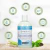 Ginger Lily Farms Botanicals Moisturizing Conditioner for Dry Hair, Island Tranquility, 100% Vegan & Cruelty-Free, Green Tea Lemongrass Scent, 1 Gallon Refill (Pack of 4)(Island Tranquility)