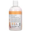 Ginger Lily Farms Botanicals Moisturizing Conditioner for Dry Hair, Island Tranquility, 100% Vegan & Cruelty-Free, Green Tea Lemongrass Scent, 1 Gallon Refill (Pack of 4)(Coco Mango)