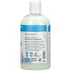 Ginger Lily Farms Botanicals Moisturizing Conditioner for Dry Hair, Island Tranquility, 100% Vegan & Cruelty-Free, Green Tea Lemongrass Scent, 1 Gallon Refill (Pack of 4)(Island Tranquility)