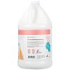 Ginger Lily Farms Botanicals Moisturizing Conditioner for Dry Hair, Island Tranquility, 100% Vegan & Cruelty-Free, Green Tea Lemongrass Scent, 1 Gallon Refill (Pack of 4)(Apple Pear)
