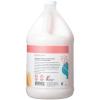 Ginger Lily Farms Botanicals Moisturizing Conditioner for Dry Hair, Island Tranquility, 100% Vegan & Cruelty-Free, Green Tea Lemongrass Scent, 1 Gallon Refill (Pack of 4)(Champagne Mimosa)