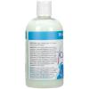 Ginger Lily Farms Botanicals Moisturizing Conditioner for Dry Hair, Island Tranquility, 100% Vegan & Cruelty-Free, Green Tea Lemongrass Scent, 1 Gallon Refill (Pack of 4)(Island Tranquility)