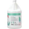 Ginger Lily Farms Botanicals Moisturizing Conditioner for Dry Hair, Island Tranquility, 100% Vegan & Cruelty-Free, Green Tea Lemongrass Scent, 1 Gallon Refill (Pack of 4)(Eucalyptus Tranquility)