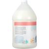 Ginger Lily Farms Botanicals Moisturizing Shampoo for All Hair Types, Coco Mango, 100% Vegan & Cruelty-Free, Coconut Mango Scent, 1 Gallon (128 fl oz) Refill(Apple Pear)