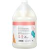 Ginger Lily Farms Botanicals Moisturizing Shampoo for All Hair Types, Coco Mango, 100% Vegan & Cruelty-Free, Coconut Mango Scent, 1 Gallon (128 fl oz) Refill(Apple Pear)