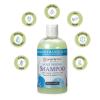 Ginger Lily Farms Botanicals Moisturizing Shampoo for All Hair Types, Coco Mango, 100% Vegan & Cruelty-Free, Coconut Mango Scent, 1 Gallon (128 fl oz) Refill(Island Tranquility)