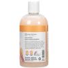 Ginger Lily Farms Botanicals Moisturizing Shampoo for All Hair Types, Coco Mango, 100% Vegan & Cruelty-Free, Coconut Mango Scent, 1 Gallon (128 fl oz) Refill(Coco Mango)