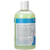 Ginger Lily Farms Botanicals Moisturizing Shampoo for All Hair Types, Coco Mango, 100% Vegan & Cruelty-Free, Coconut Mango Scent, 1 Gallon (128 fl oz) Refill(Island Tranquility)