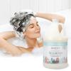 Ginger Lily Farms Botanicals Moisturizing Shampoo for All Hair Types, Coco Mango, 100% Vegan & Cruelty-Free, Coconut Mango Scent, 1 Gallon (128 fl oz) Refill(Cucumber Mint Bliss)