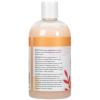 Ginger Lily Farms Botanicals Moisturizing Shampoo for All Hair Types, Coco Mango, 100% Vegan & Cruelty-Free, Coconut Mango Scent, 1 Gallon (128 fl oz) Refill(Coco Mango)