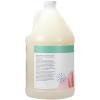 Ginger Lily Farms Botanicals Moisturizing Shampoo for All Hair Types, Coco Mango, 100% Vegan & Cruelty-Free, Coconut Mango Scent, 1 Gallon (128 fl oz) Refill(Eucalyptus Tranquility)