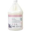 Ginger Lily Farms Botanicals Moisturizing Shampoo for All Hair Types, Coco Mango, 100% Vegan & Cruelty-Free, Coconut Mango Scent, 1 Gallon (128 fl oz) Refill(Whispering Rose)