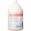 Ginger Lily Farms Botanicals Moisturizing Shampoo for All Hair Types, Coco Mango, 100% Vegan & Cruelty-Free, Coconut Mango Scent, 1 Gallon (128 fl oz) Refill(Champagne Mimosa)