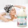 Ginger Lily Farms Botanicals Moisturizing Shampoo for All Hair Types, Coco Mango, 100% Vegan & Cruelty-Free, Coconut Mango Scent, 1 Gallon (128 fl oz) Refill(Eucalyptus Tranquility)