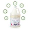 Ginger Lily Farms Botanicals Moisturizing Shampoo for All Hair Types, Coco Mango, 100% Vegan & Cruelty-Free, Coconut Mango Scent, 1 Gallon (128 fl oz) Refill(Fragrance Free)