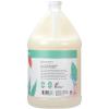 Ginger Lily Farms Botanicals Moisturizing Shampoo for All Hair Types, Coco Mango, 100% Vegan & Cruelty-Free, Coconut Mango Scent, 1 Gallon (128 fl oz) Refill(Eucalyptus Tranquility)