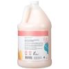 Ginger Lily Farms Botanicals Moisturizing Shampoo for All Hair Types, Coco Mango, 100% Vegan & Cruelty-Free, Coconut Mango Scent, 1 Gallon (128 fl oz) Refill(Champagne Mimosa)