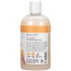 Ginger Lily Farms Botanicals Nourishing Body Wash, 100% Vegan & Cruelty-Free, Bath & Shower Gel for Men and Women, Lavender Chamomile Scent, 1 Gallon Refill (128 fl oz)(Coco Mango)