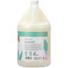 Ginger Lily Farms Botanicals Nourishing Body Wash, 100% Vegan & Cruelty-Free, Bath & Shower Gel for Men and Women, Lavender Chamomile Scent, 1 Gallon Refill (128 fl oz)(Eucalyptus Tranquility)