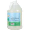 Ginger Lily Farms Botanicals Plant-Based 4-In-1 Dishwasher Rinse Aid, 100% Vegan & Cruelty-Free, Fragrance-Free, 1 Gallon (128 fl oz) Refill, 128.00 Fl Oz (Pack of 1)(Fragrance Free)