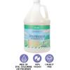 Ginger Lily Farms Botanicals Plant-Based Dishwasher Detergent Gel, 100% Vegan & Cruelty-Free, Fragrance-Free, 1 Gallon (128 Fl Oz) Refill(Basil)
